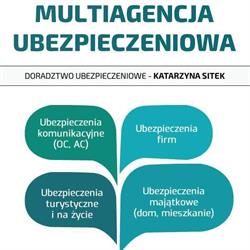 Doradztwo Ubezpieczeniowe Katarzyna Sitek, Radlin godziny otwarcia