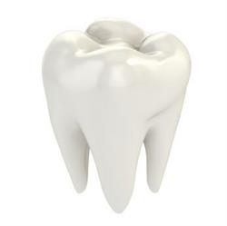Family Dental Stomatolog, Wrocław godziny otwarcia