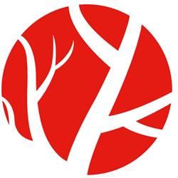 Chirurg Naczyniowy ORAWCZYK Klinika Leczenia Żył, Nowy Sącz godziny otwarcia