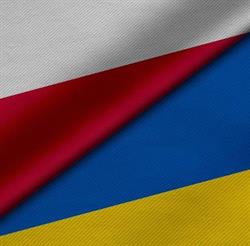VetOptimum Przychodnia Weterynaryjna, Popielów godziny otwarcia