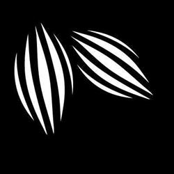 Chocolate Bush - Czekoladowe Prezenty - Manufaktura Czekolady, Kocoń godziny otwarcia