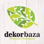 Dekorbaza, Łódź godziny otwarcia
