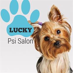 Psi Salon Lucky Judyta Buchwald, Koszanowo godziny otwarcia