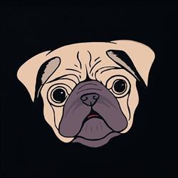 VAPE PUG, Warka godziny otwarcia