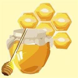 Restauracja Miodowa, Ostrowite godziny otwarcia