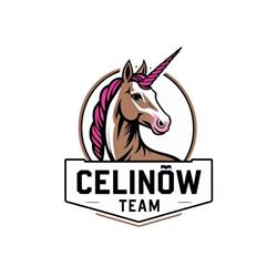 STAJNIA CELINÓW - konie nauka jazdy pensjonat stadnina boksy obozy wycieczki jazda konna, Mińsk Mazowiecki godziny otwarcia