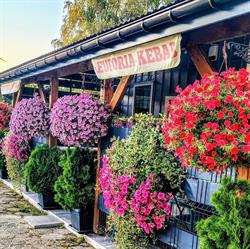 Euforia Kebab -Pilzno, godziny otwarcia