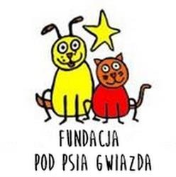 Schronisko Dla Zwierząt Fundacja Pod Psią Gwiazdą, Kłodzko godziny otwarcia