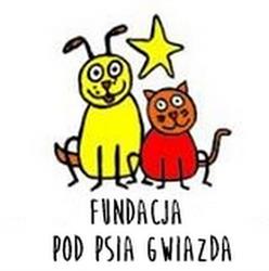 Schronisko Dla Zwierząt Fundacja Pod Psią Gwiazdą, Kłodzko godziny otwarcia