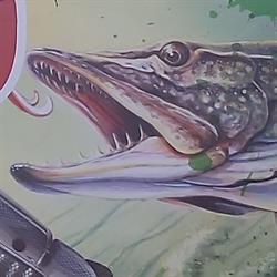 Sklep zoologiczno wędkarski, Międzyrzec Podlaski godziny otwarcia
