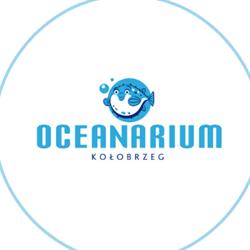 Oceanarium, Kołobrzeg godziny otwarcia
