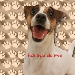 Holi Spa dla Psa, Końskie godziny otwarcia