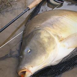 Sklep wędkarski Extreme Fishing, Kolbuszowa godziny otwarcia