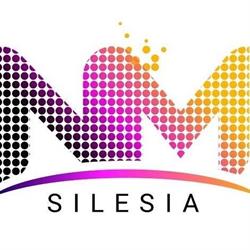 Agencja Reklamy Sosnowiec - NM Silesia, godziny otwarcia