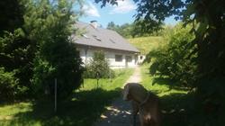 Agroturystyka powrożnik 94, Muszyna godziny otwarcia