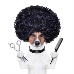 Strzyżenie Psów TOP DOG, Reda godziny otwarcia