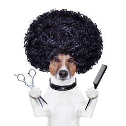 Strzyżenie Psów TOP DOG, Reda godziny otwarcia