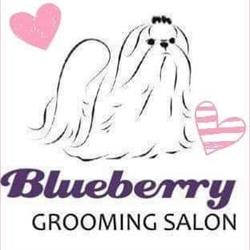 Blueberry grooming salon, Strumień godziny otwarcia