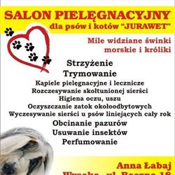 Salon Pielęgnacyjny Dla Psów i Kotów Jurawet Anna Łabaj, Wysoka godziny otwarcia
