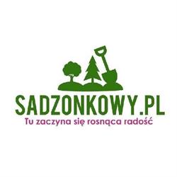 sadzonkowy.pl, Rybnik godziny otwarcia