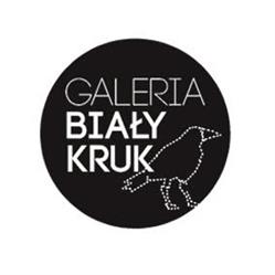 Galeria Biały Kruk, Opole godziny otwarcia