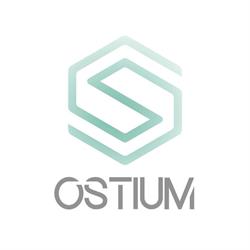 Ostium Gabinet Fizjoterapii i Terapii Manualnej, Kraków godziny otwarcia