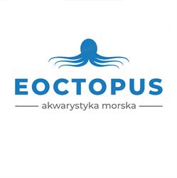 Eoctopus Rybnik, godziny otwarcia