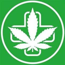 Sensi Hemp Gdynia, godziny otwarcia