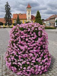 Gmina Dolsk, godziny otwarcia