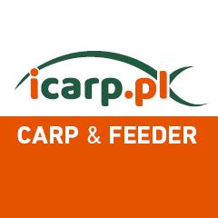 Icarp.pl, Warszawa godziny otwarcia