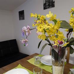Apartamenty nad Odrą, Wrocław godziny otwarcia