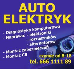 AUTO Elektryk Gniezno, godziny otwarcia