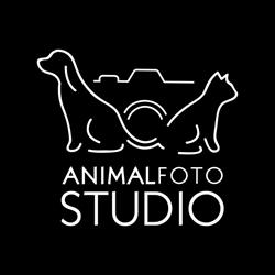 Animal Foto Studio Kamil Czyżewski, Latchorzew godziny otwarcia