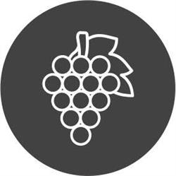 Pecorino Pizza & Pasta, Szczecin godziny otwarcia