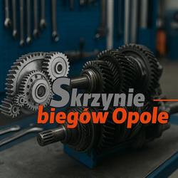 Skrzynie Biegów Opole, godziny otwarcia