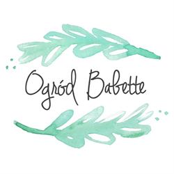 Ogród Babette, Rusiec godziny otwarcia