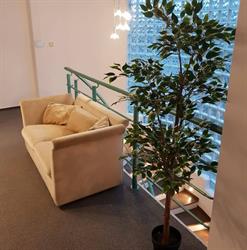 Kasata Hostel, Warszawa godziny otwarcia