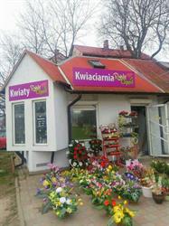 Kwiaciarnia Rajski Ogród, Olsztyn godziny otwarcia