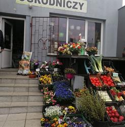 Sklep Ogrodniczy Jolanta Narewska, Brodnica godziny otwarcia