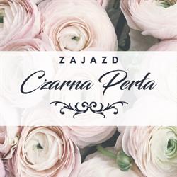 Zajazd Czarna Perła, Grabów godziny otwarcia