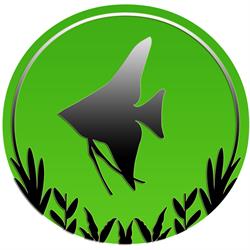 AQUA PLANT sklep akwarystyczny, Kraków godziny otwarcia