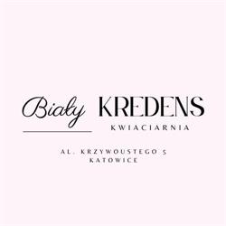 Biały Kredens, Katowice godziny otwarcia