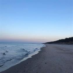Pokoje Gościnne Port Międzywodzie, godziny otwarcia