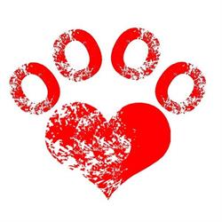 Animals Store, Stargard godziny otwarcia
