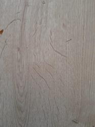 4F Warka, godziny otwarcia