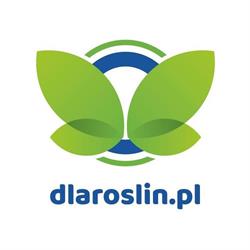 dlaroslin.pl, Sieradz godziny otwarcia