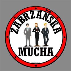 Zabrzańska Mucha, Zabrze godziny otwarcia