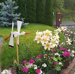 Sklep Ogrodniczy ELRO, Inowrocław godziny otwarcia