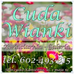 Cuda Wianki - Kwiaciarnia, Galeria, Skarżysko-Kamienna godziny otwarcia