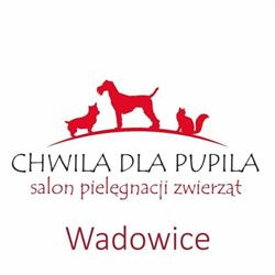 Psi Fryzjer Wadowice 'Chwila Dla Pupila' 888 081 322, Tomice godziny otwarcia